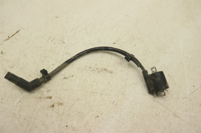 Yamaha Grizzly Kodiak Ignition Coil D Power