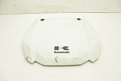 Kawasaki Teryx 800 19 Hood (White) 14093-0205-266 49029