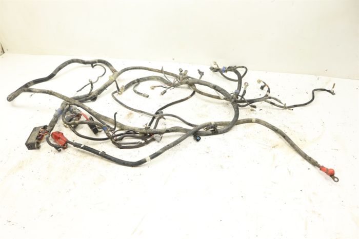 Kubota RTV Crew 1140 CPX 11 Wiring Harness Chasis 25313