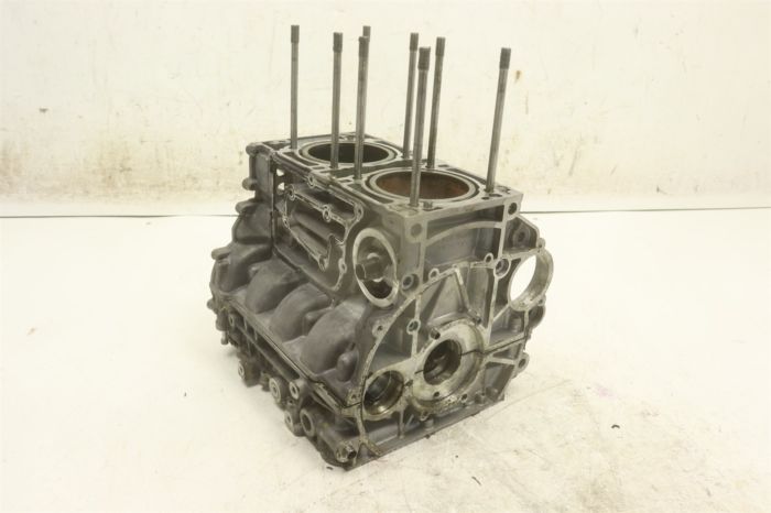 Arctic Cat Textron Havoc X 18 Engine Cases Crankcase 40620