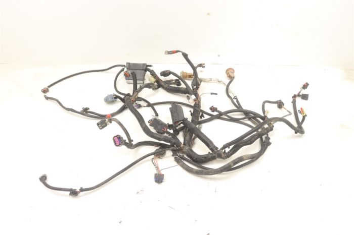 Polaris Sportsman 850 XP HO EPS 13 Wiring Harness Chassis 2412431 41576