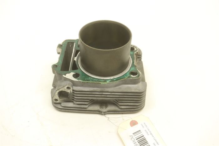 Arctic Cat A FIS 4x4 366 08 Engine Cylinder 0804-042 41953