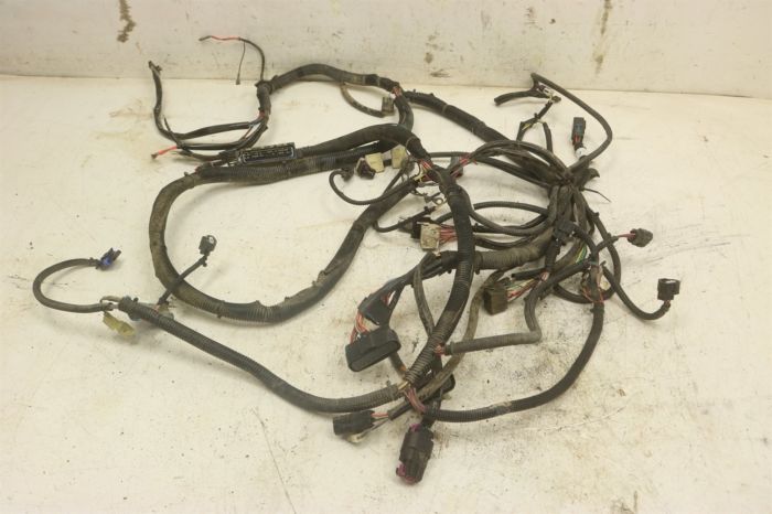 Polaris Ranger 500 4x4  EFI 2007 Wiring Harness Chassis 2411001