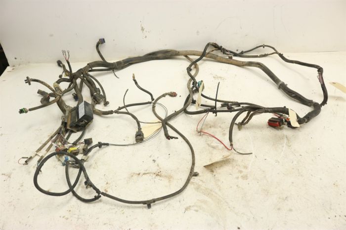 Polaris Ranger EV 4x4 2010 Wiring Harness Chassis 2411344